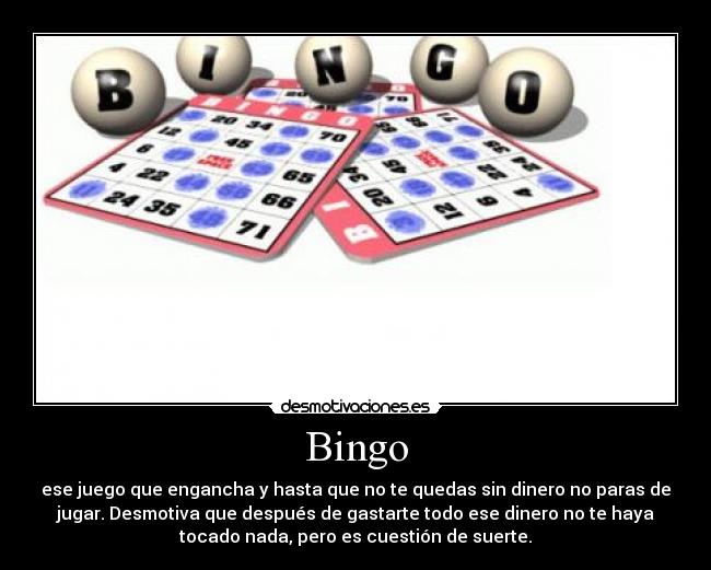 Bingo -