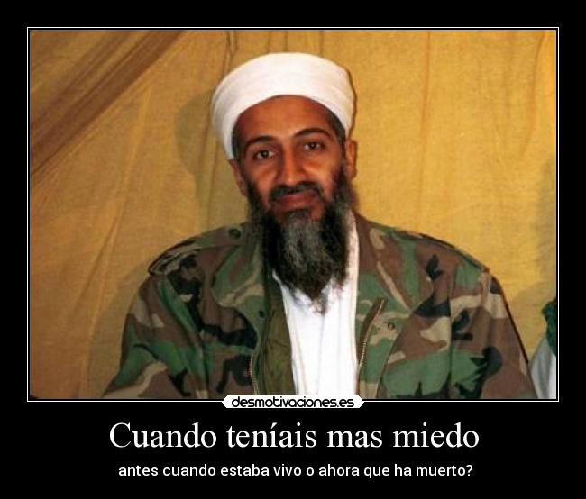 carteles miedo bin laden cuando miedo antes despues vivo muerto desmotivaciones