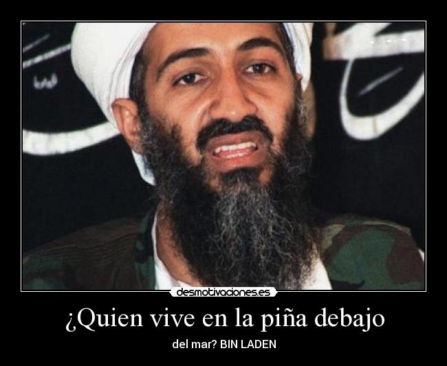 ¿Quien vive en la piña debajo - del mar? BIN LADEN