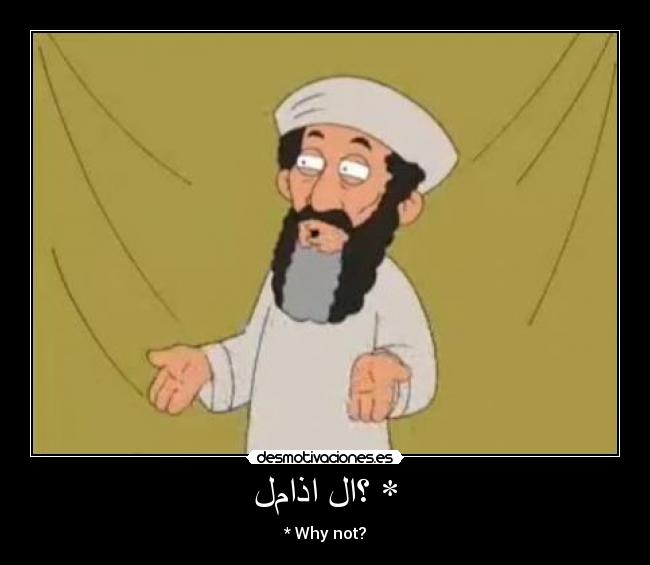 لماذا لا؟ * - 