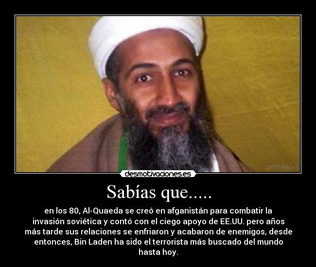 Sabías que..... - en los 80, Al-Quaeda se creó en afganistán para combatir la
invasión soviética y contó con el ciego apoyo de EE.UU. pero años
más tarde sus relaciones se enfriaron y acabaron de enemigos, desde
entonces, Bin Laden ha sido el terrorista más buscado del mundo
hasta hoy.