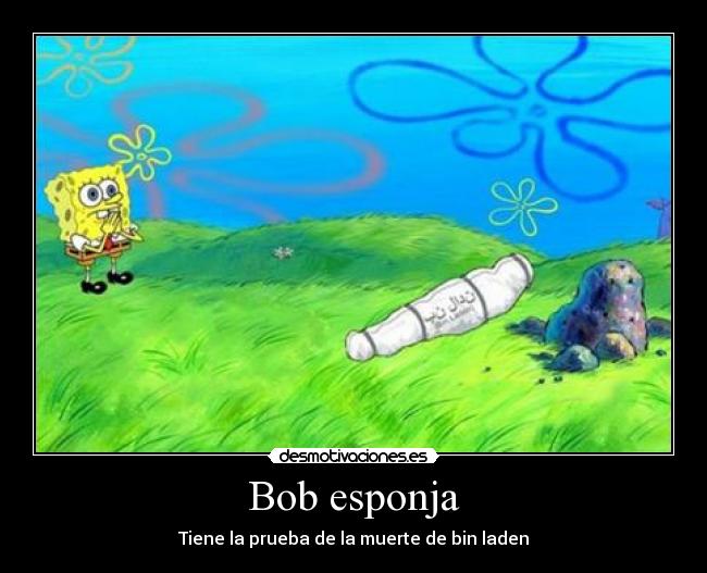 Bob esponja - Tiene la prueba de la muerte de bin laden