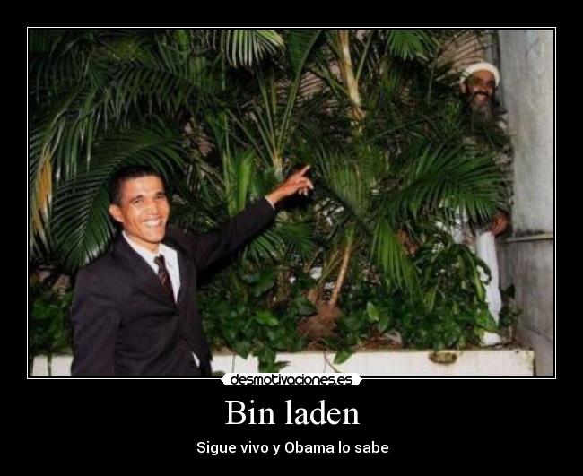 Bin laden - 