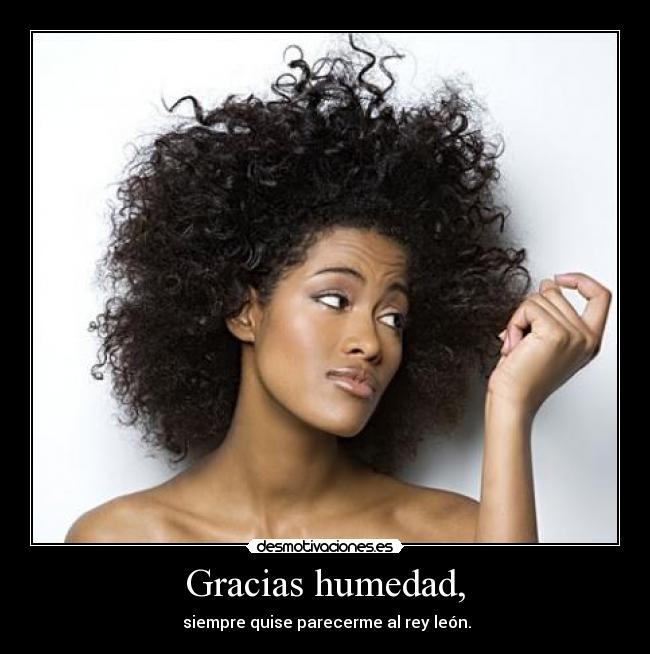 Gracias humedad, - 
