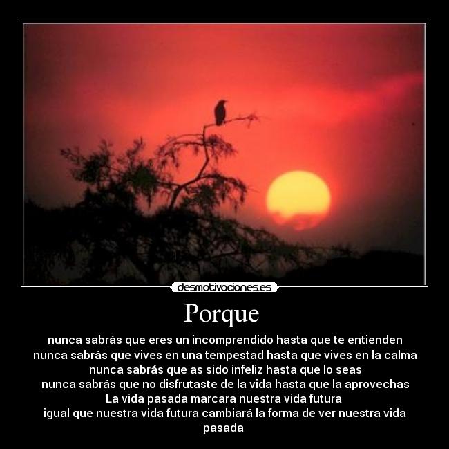 Porque  - nunca sabrás que eres un incomprendido hasta que te entienden
nunca sabrás que vives en una tempestad hasta que vives en la calma
nunca sabrás que as sido infeliz hasta que lo seas
nunca sabrás que no disfrutaste de la vida hasta que la aprovechas
La vida pasada marcara nuestra vida futura 
igual que nuestra vida futura cambiará la forma de ver nuestra vida pasada 