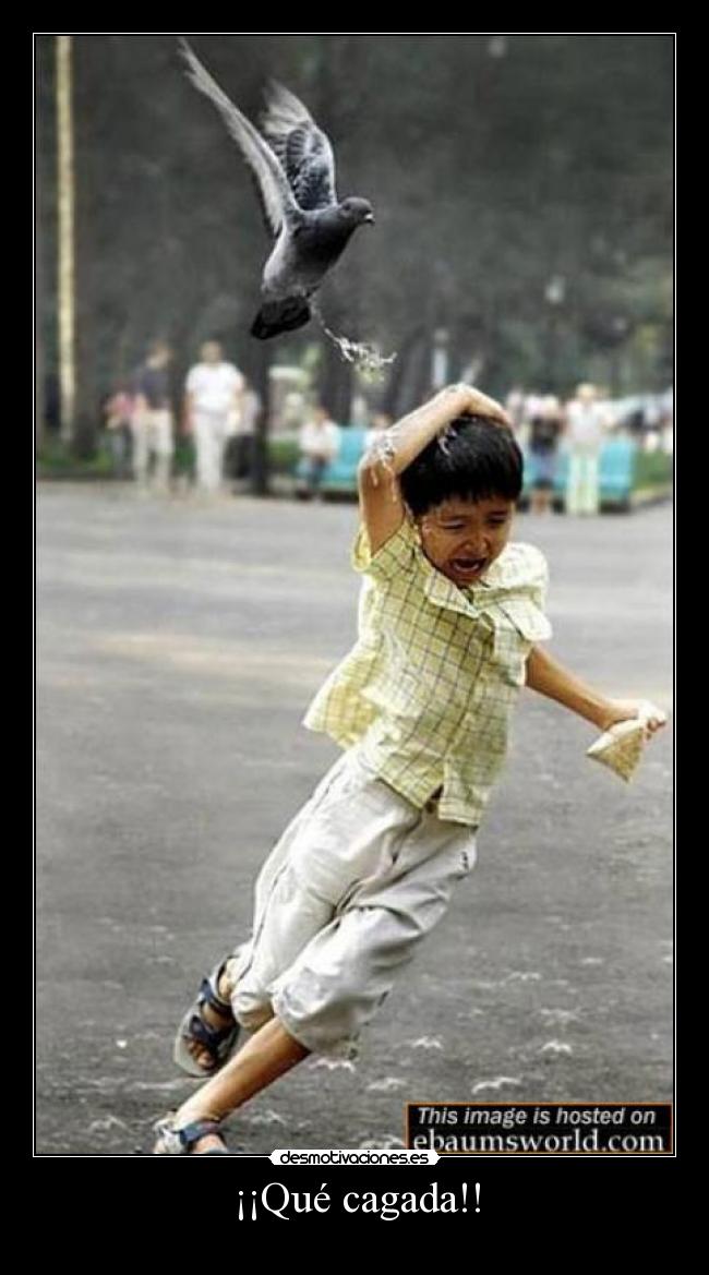 ¡¡Qué cagada!! -