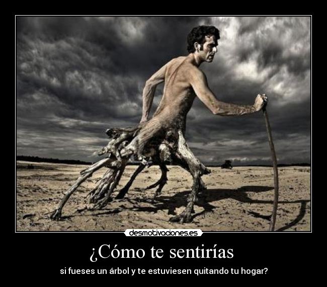 ¿Cómo te sentirías  - 