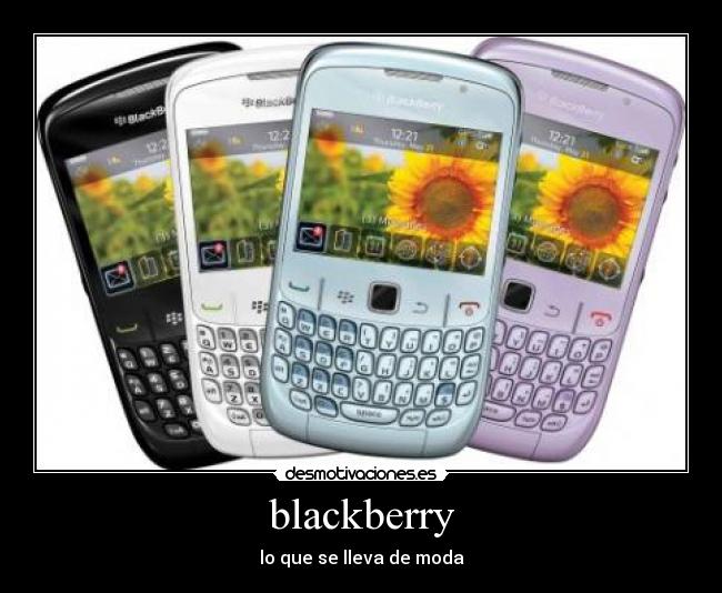 blackberry - 