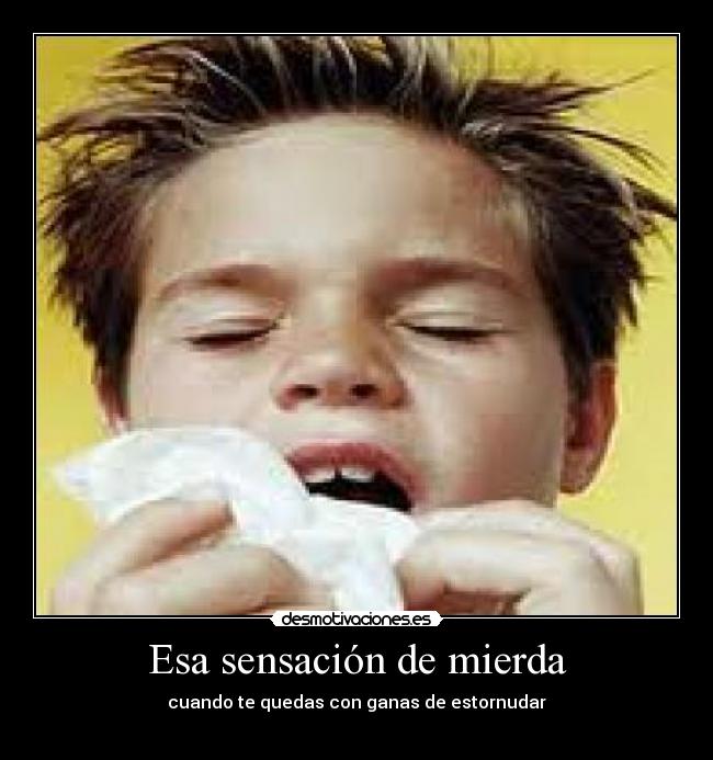 Esa sensación de mierda -