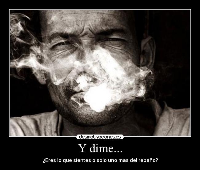 Y dime... - ¿Eres lo que sientes o solo uno mas del rebaño?