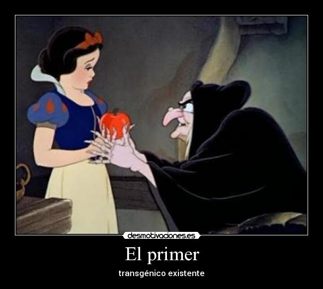 carteles primer transgenico existente desmotivaciones