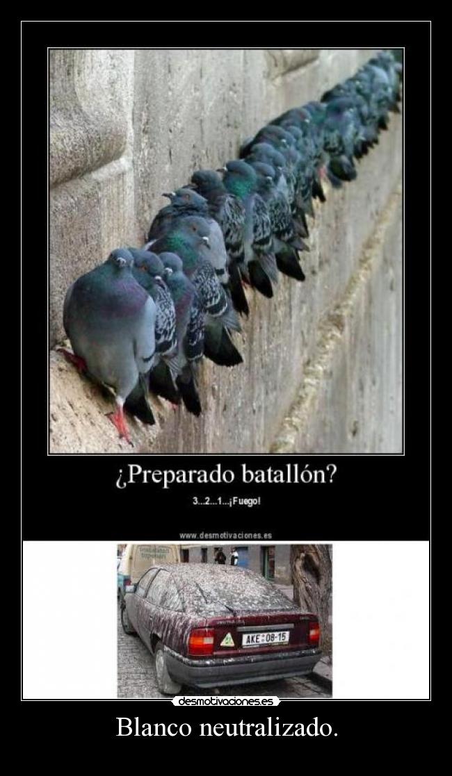 carteles blanco neutralizado desmotivaciones
