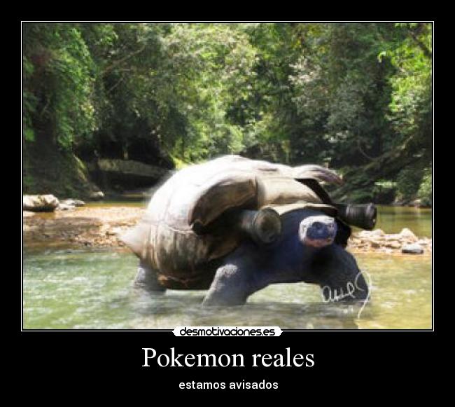 Pokemon reales -