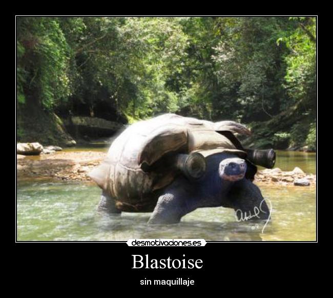 Blastoise - sin maquillaje