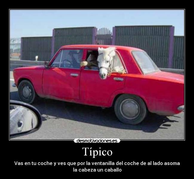 carteles tipico desmotivaciones