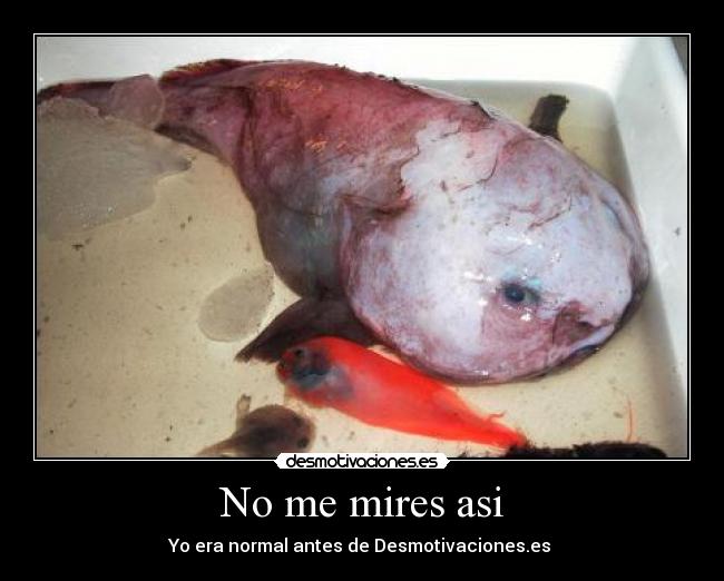 No me mires asi -
