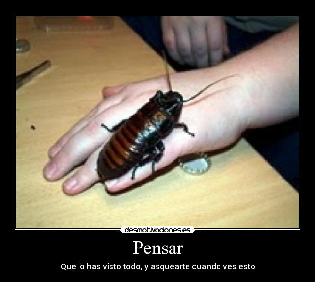 Pensar -