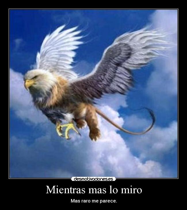 Mientras mas lo miro - Mas raro me parece.