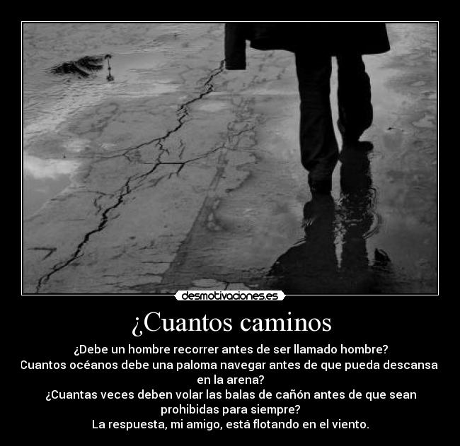 ¿Cuantos caminos - ¿Debe un hombre recorrer antes de ser llamado hombre?
Cuantos océanos debe una paloma navegar antes de que pueda descansar
en la arena?
¿Cuantas veces deben volar las balas de cañón antes de que sean
prohibidas para siempre?
La respuesta, mi amigo, está flotando en el viento.