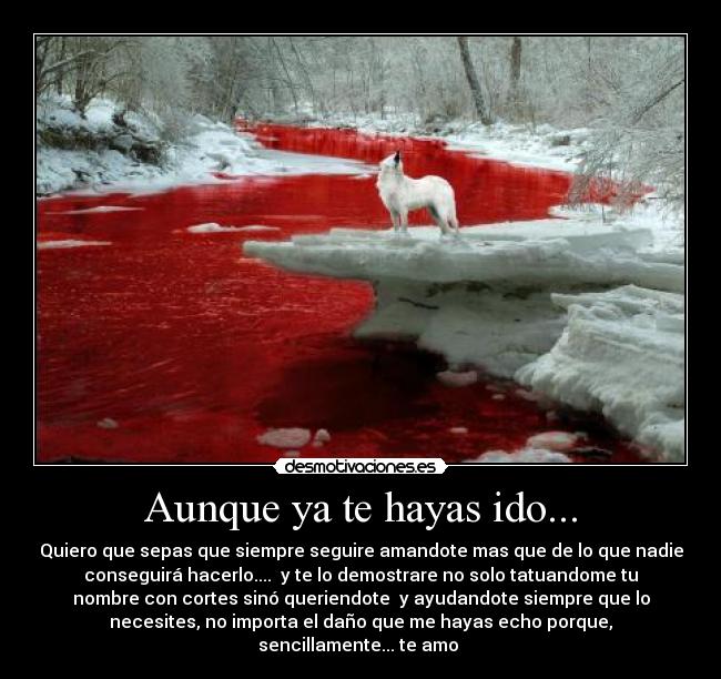 Aunque ya te hayas ido... - Quiero que sepas que siempre seguire amandote mas que de lo que nadie
conseguirá hacerlo.... y te lo demostrare no solo tatuandome tu
nombre con cortes sinó queriendote y ayudandote siempre que lo
necesites, no importa el daño que me hayas echo porque,
sencillamente... te amo