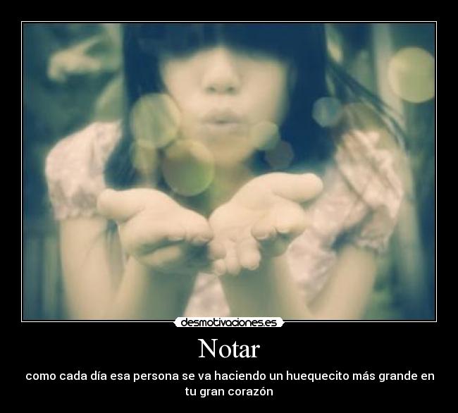 Notar - 