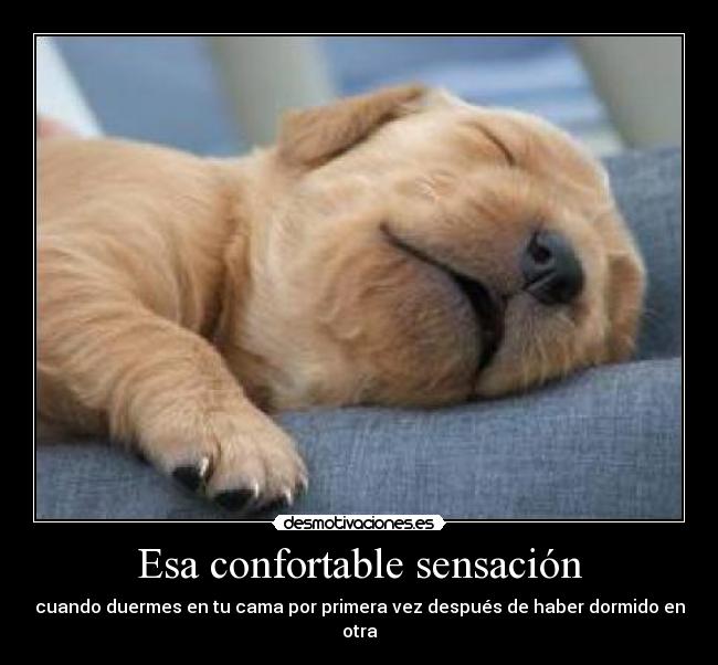 Esa confortable sensación - 