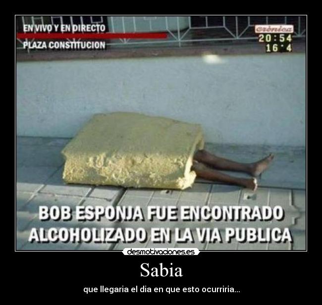 Sabia - 