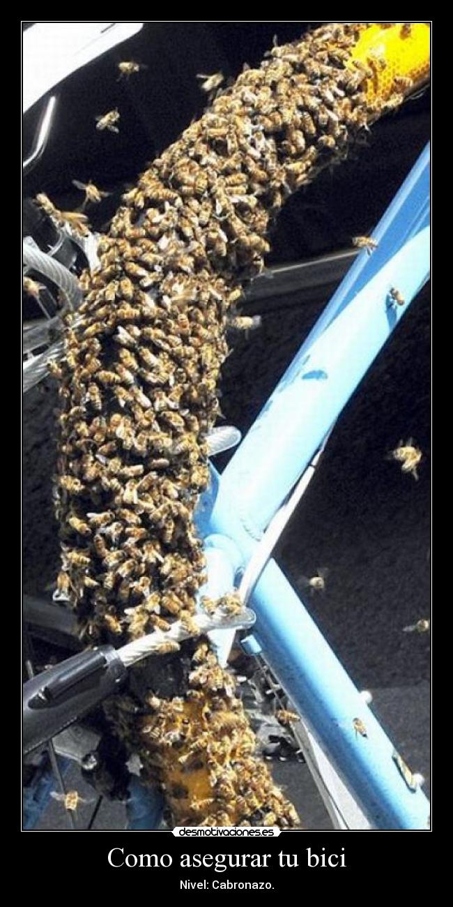 Como asegurar tu bici - Nivel: Cabronazo.