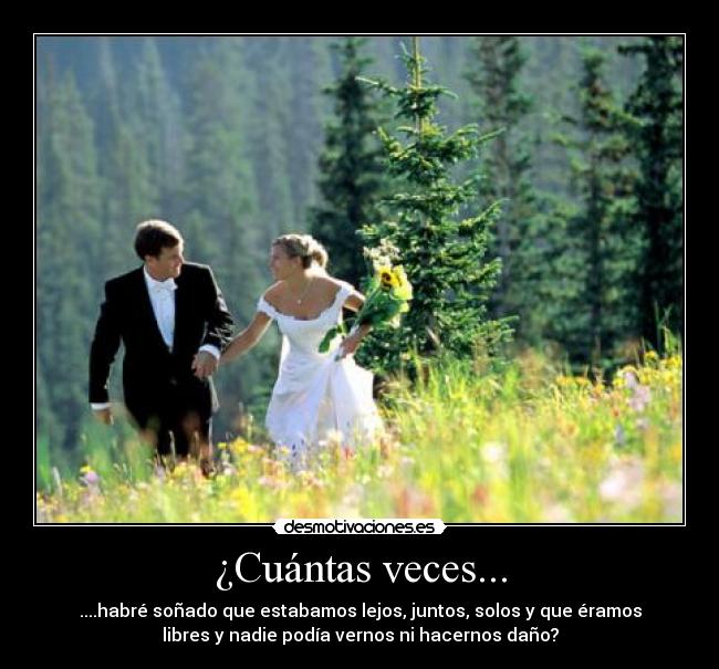 ¿Cuántas veces... - ....habré soñado que estabamos lejos, juntos, solos y que éramos
libres y nadie podía vernos ni hacernos daño?