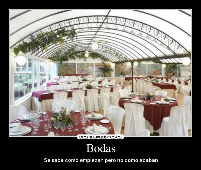 Bodas - 