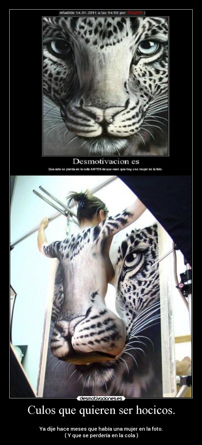 carteles body painting tigre mujer oculta habilidad maxima desmotivaciones