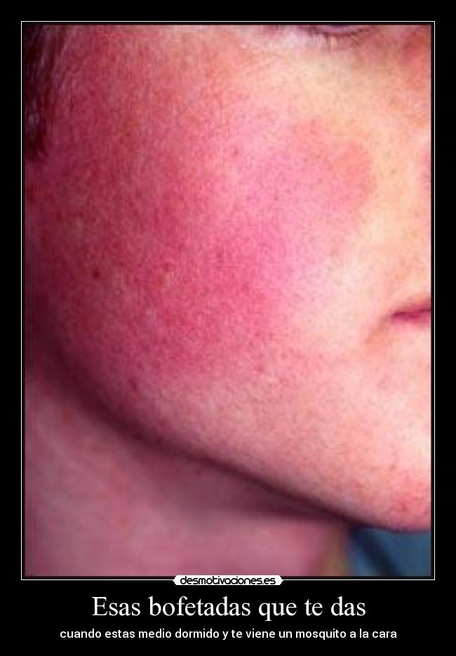 carteles titanv desmotivaciones