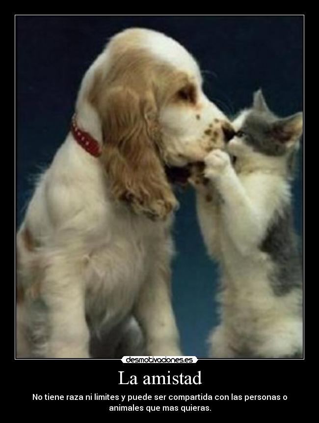 carteles amistad amistad desmotivaciones