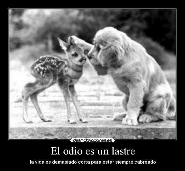 El odio es un lastre -