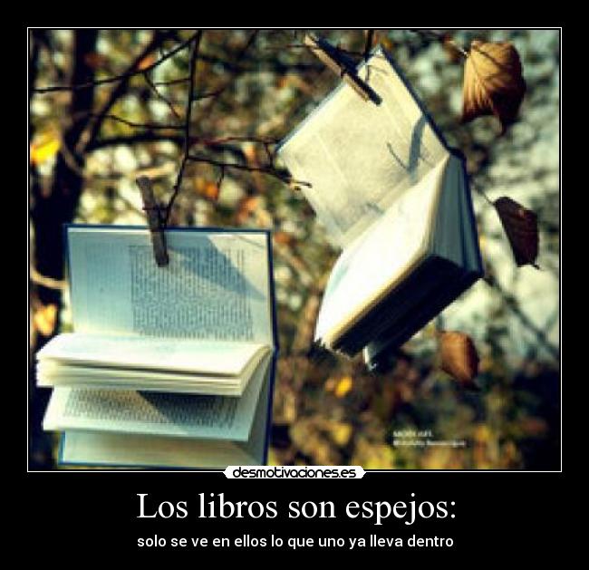 Los libros son espejos: - solo se ve en ellos lo que uno ya lleva dentro