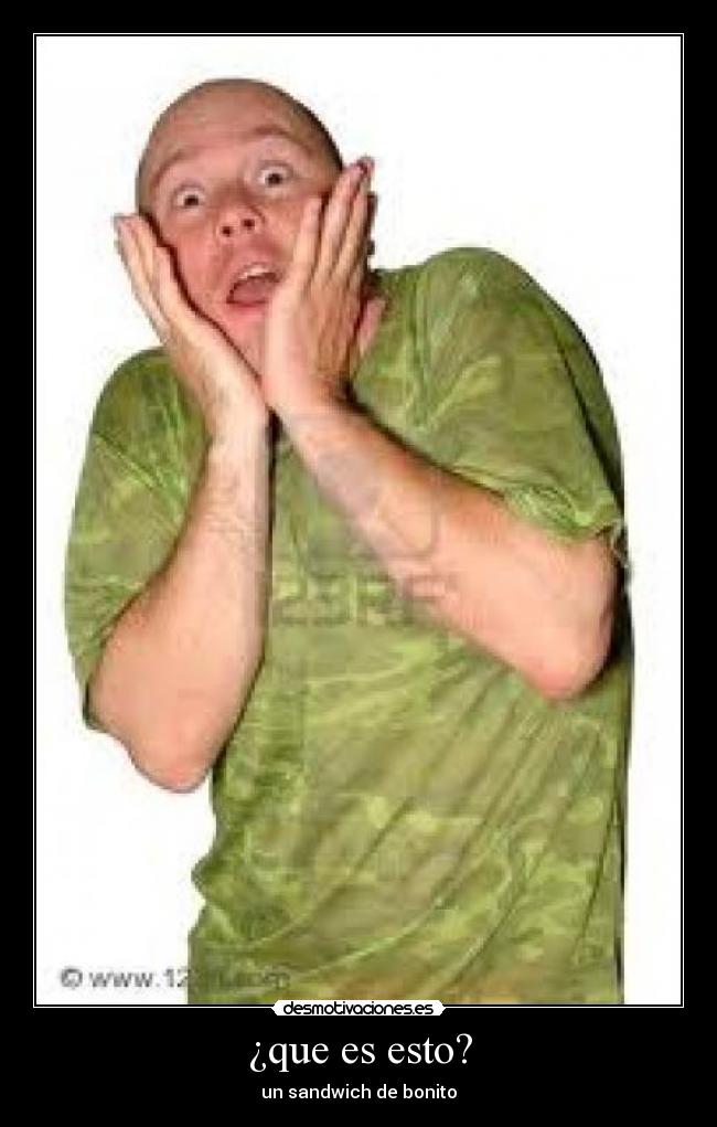 ¿que es esto? - un sandwich de bonito