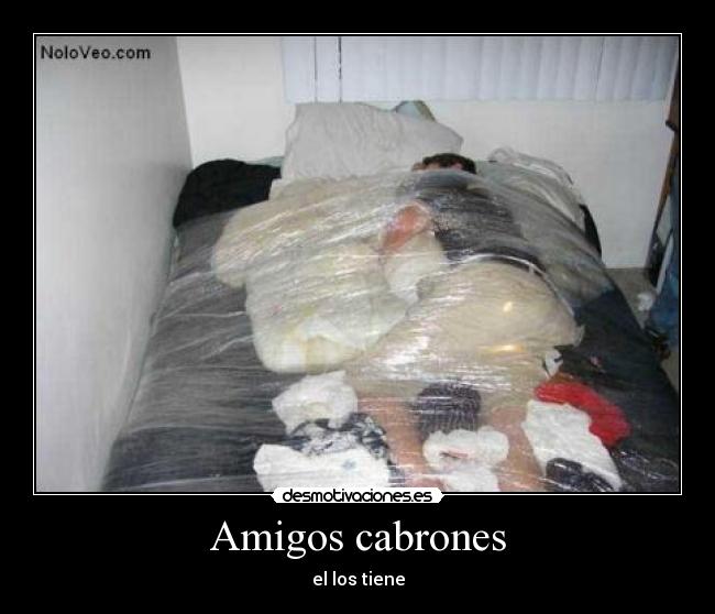 Amigos cabrones - 