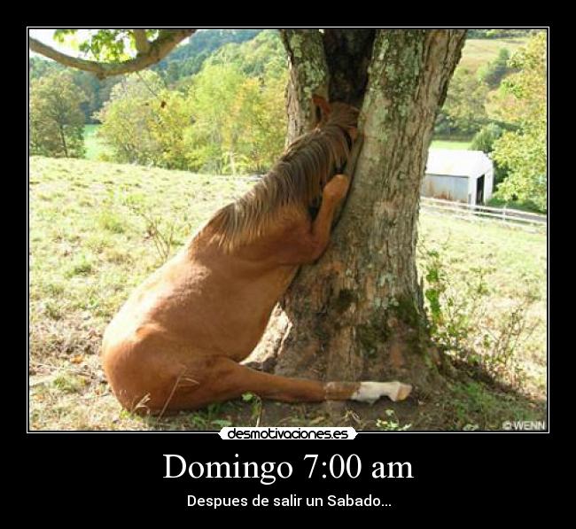 Domingo 7:00 am - Despues de salir un Sabado...