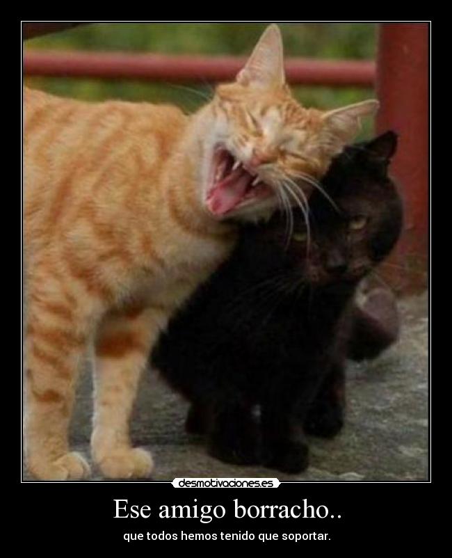 Ese amigo borracho.. -