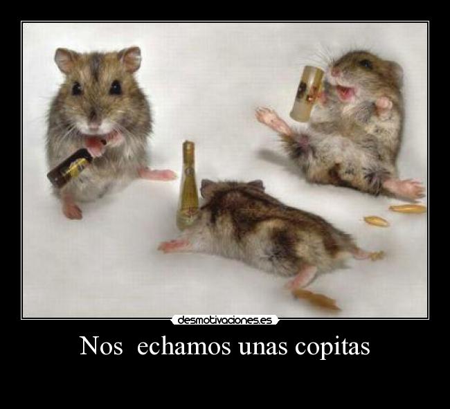 Nos  echamos unas copitas - 