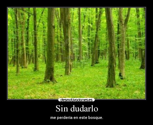 Sin dudarlo - 