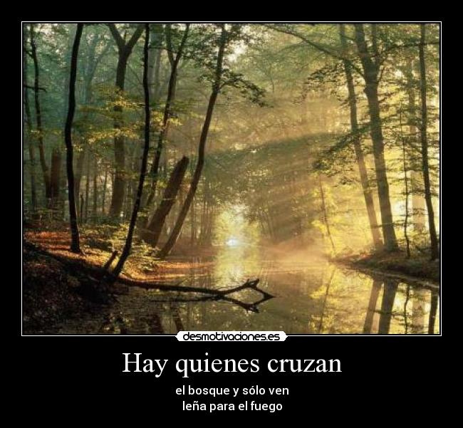 Hay quienes cruzan - 