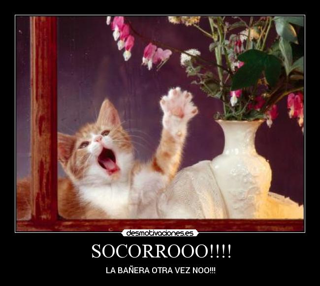 SOCORROOO!!!! - 