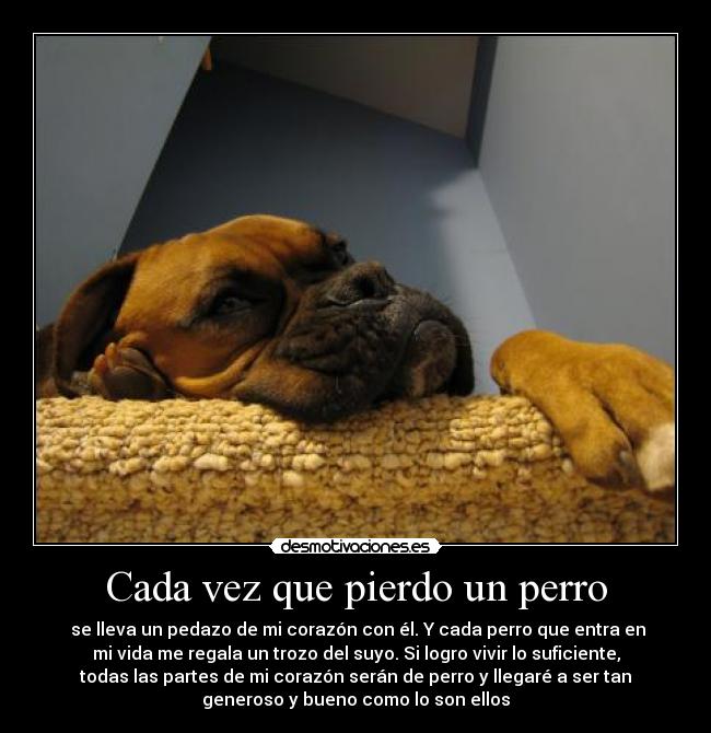 Cada vez que pierdo un perro -