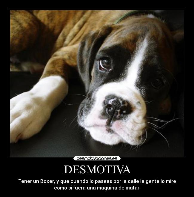 DESMOTIVA -