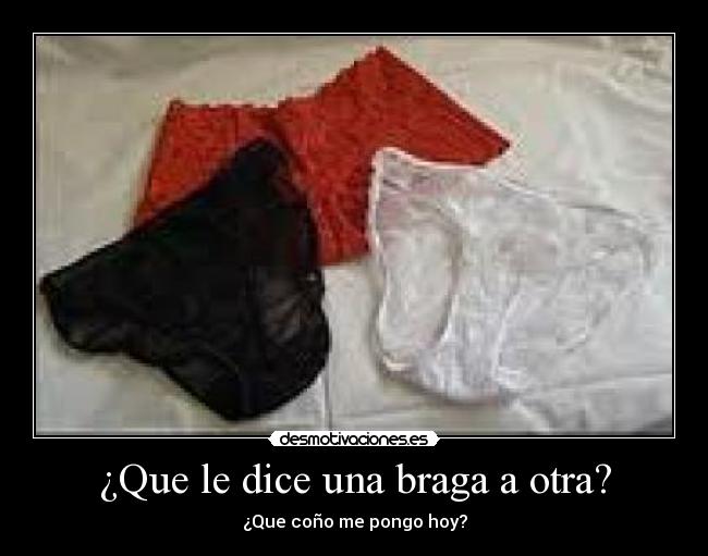 ¿Que le dice una braga a otra? - 