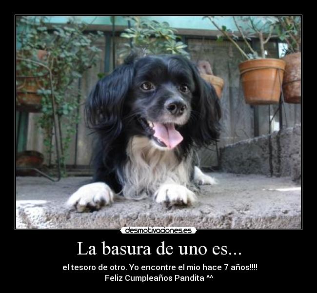 carteles refranes ideas desmotivaciones