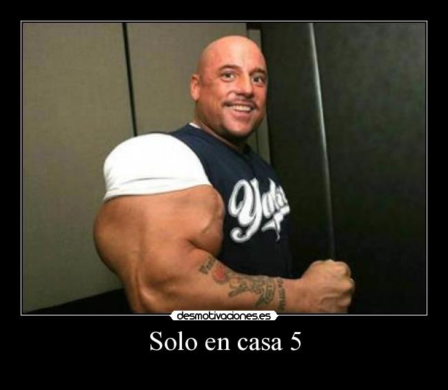 Solo en casa 5 - 