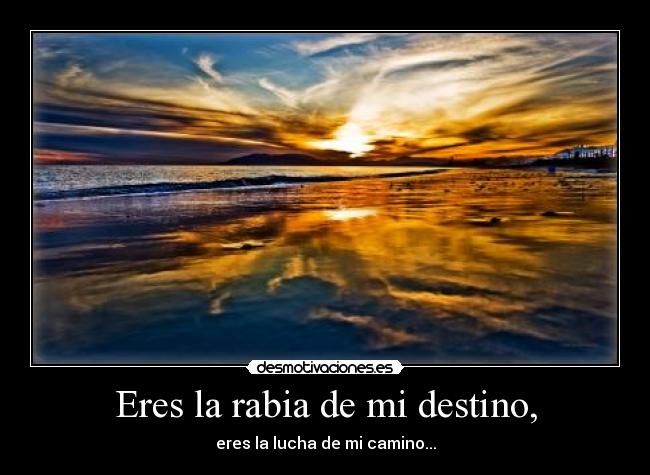 Eres la rabia de mi destino, - 