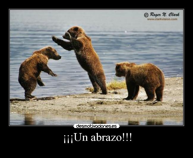 ¡¡¡Un abrazo!!! - 